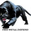 “PANTHER NATION(CODE BLUE)