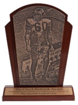 bednarik-award