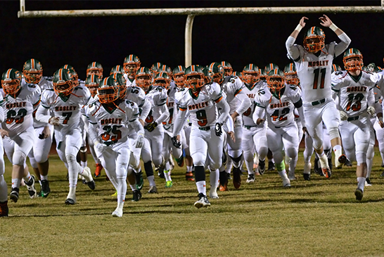 2015 Preview Guide: Mosley Dolphins team preview –