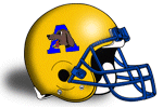 auburndalehelmet