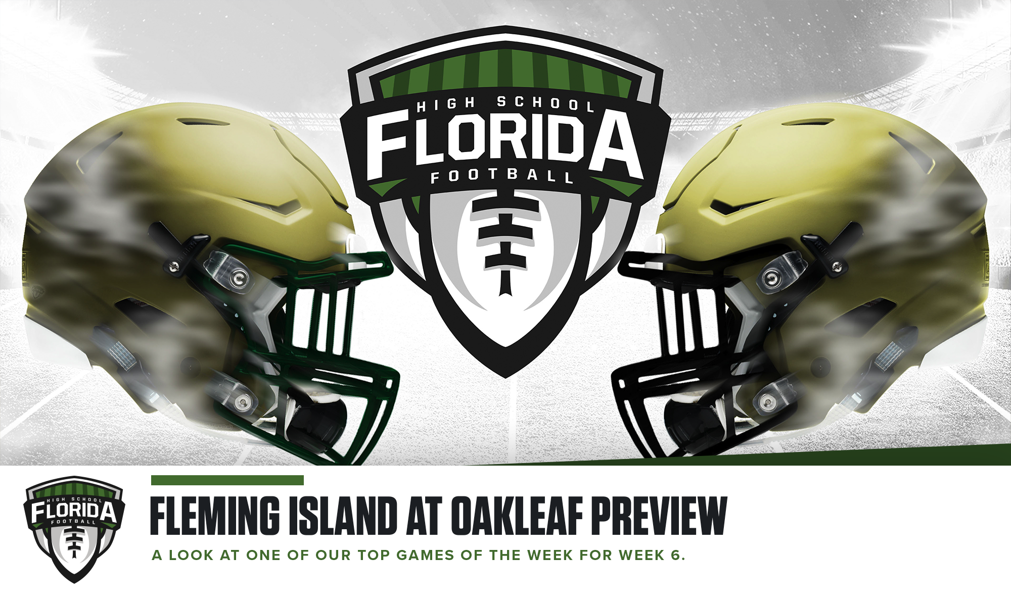 Fleming Island Golden Eagles Football Club