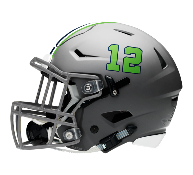 Beachside Helmet - Left [Credit FloridaHSFootball.com for use of this helmet]