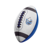 lakesidechristian-clearwater-lions-900