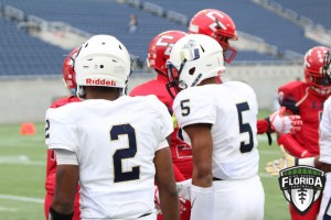 IMG 8565
