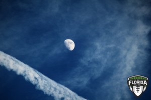 IMG 8938