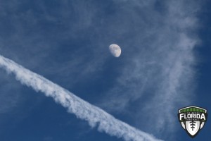 IMG 8939
